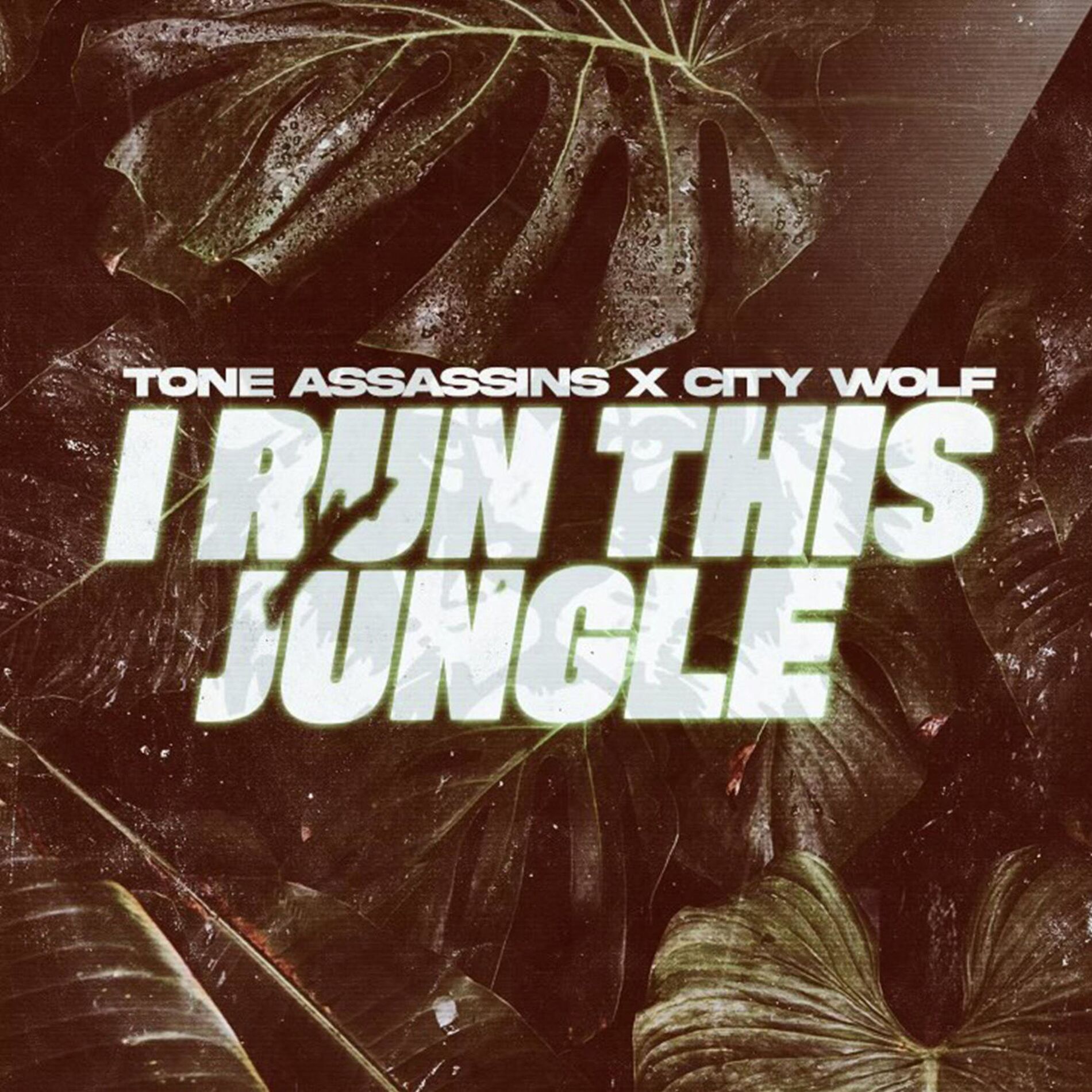 Album cover of I Run This Jungle