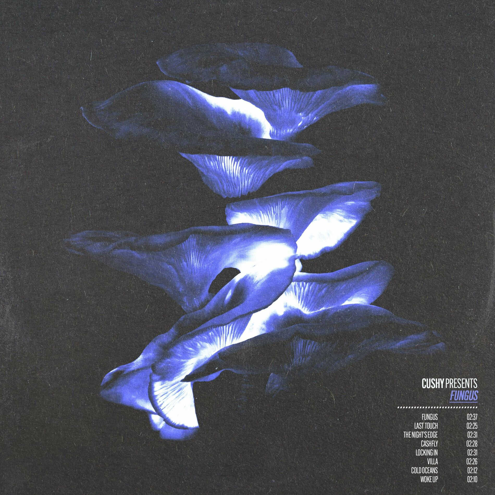 Album cover of Fungus