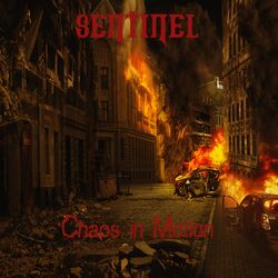 Cover of Chaos in Motion