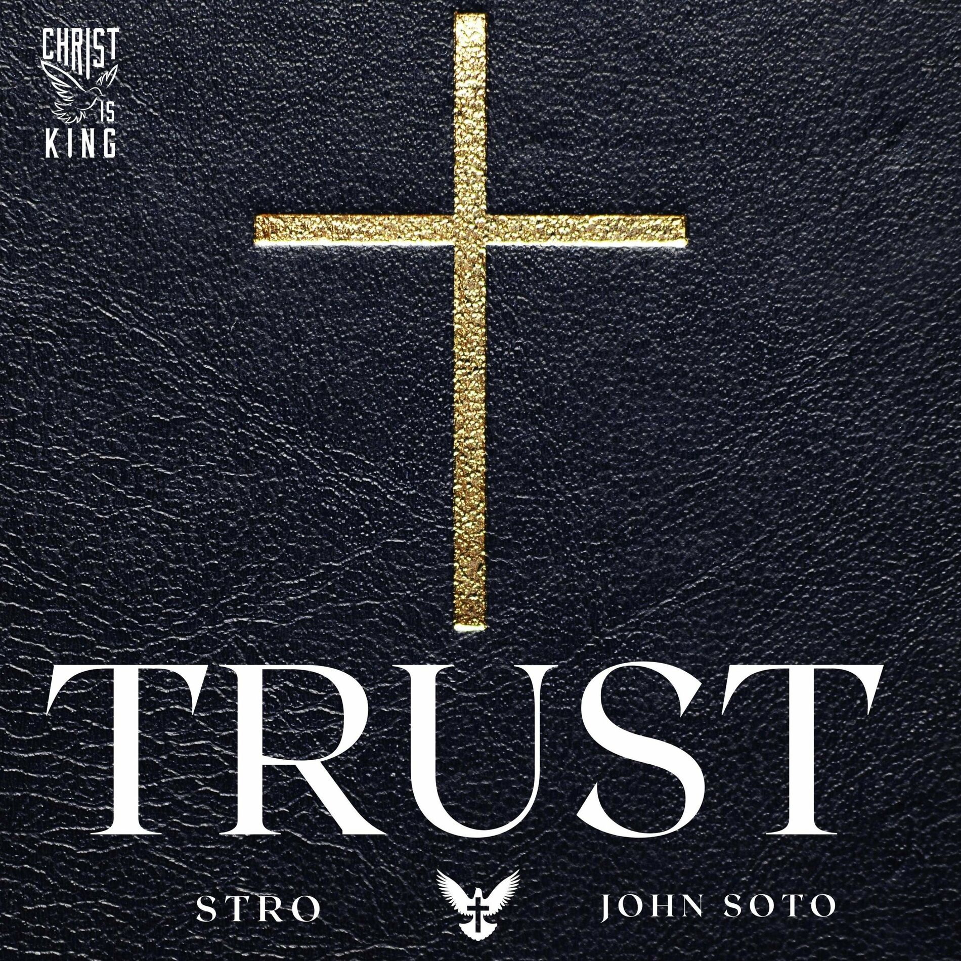 Album cover of TRUST