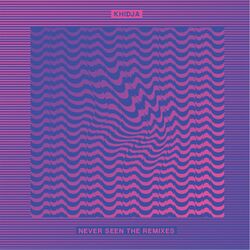 Cover of Never Seen the Remixes