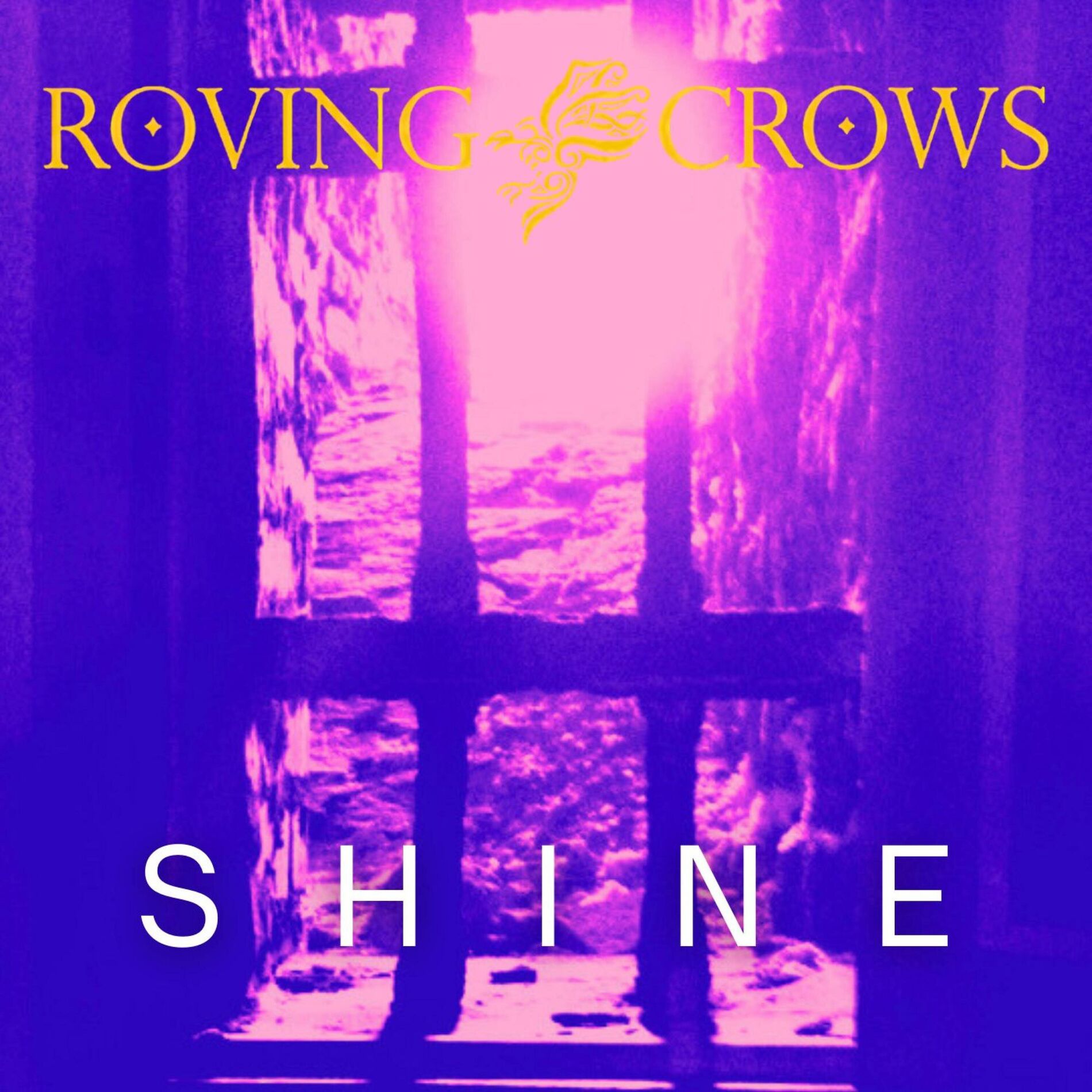 Album cover of Shine (radio edit)