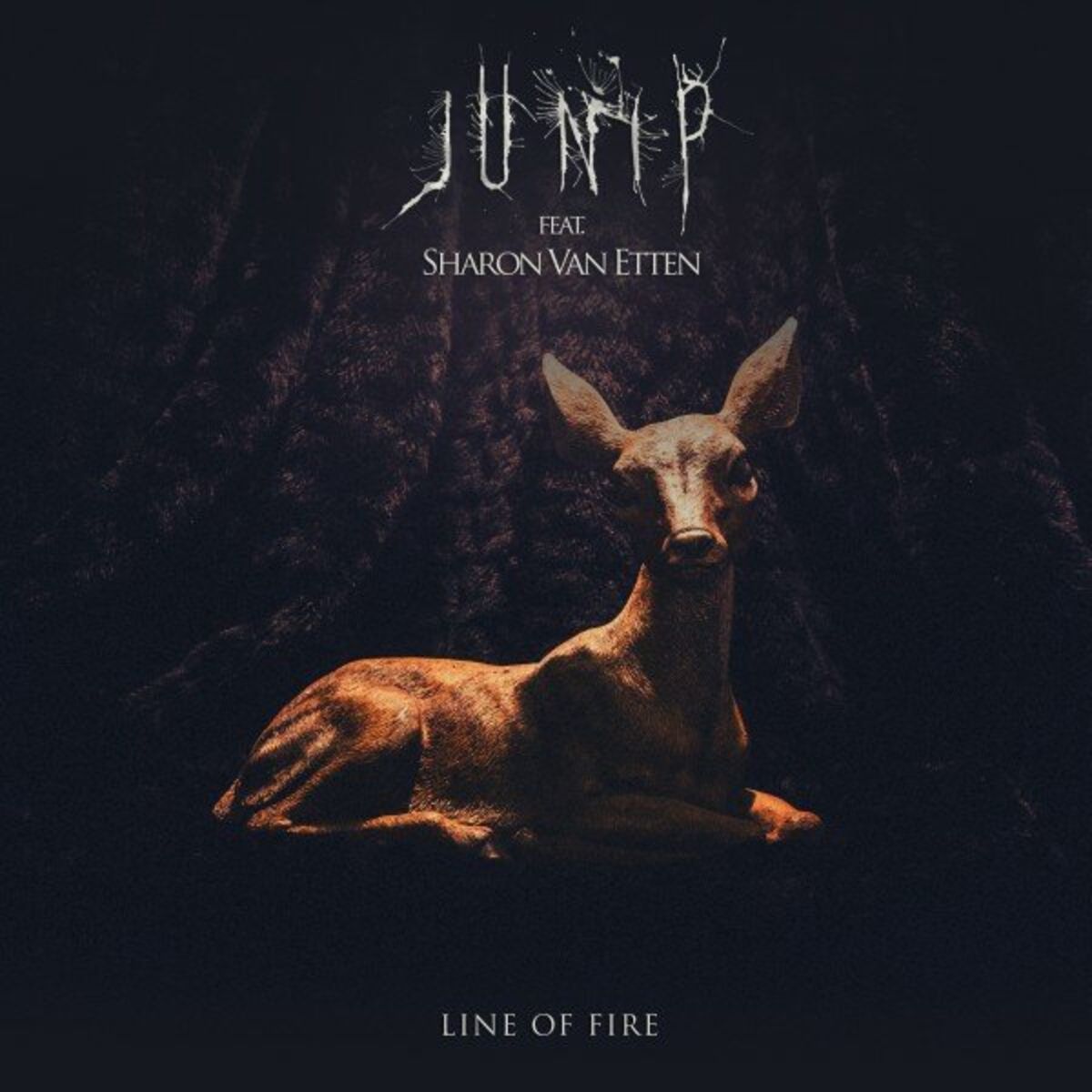 Album cover of Line of Fire (feat. Sharon Van Etten)