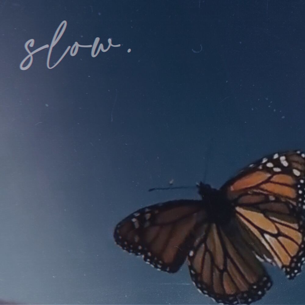 Picture of Slow