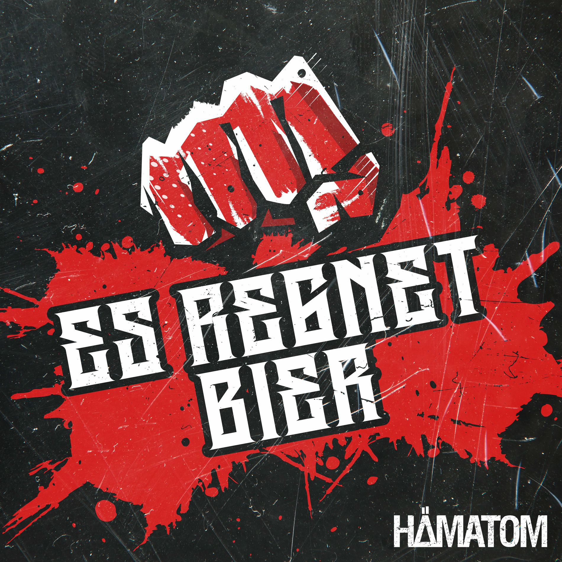 Album cover of Es regnet Bier