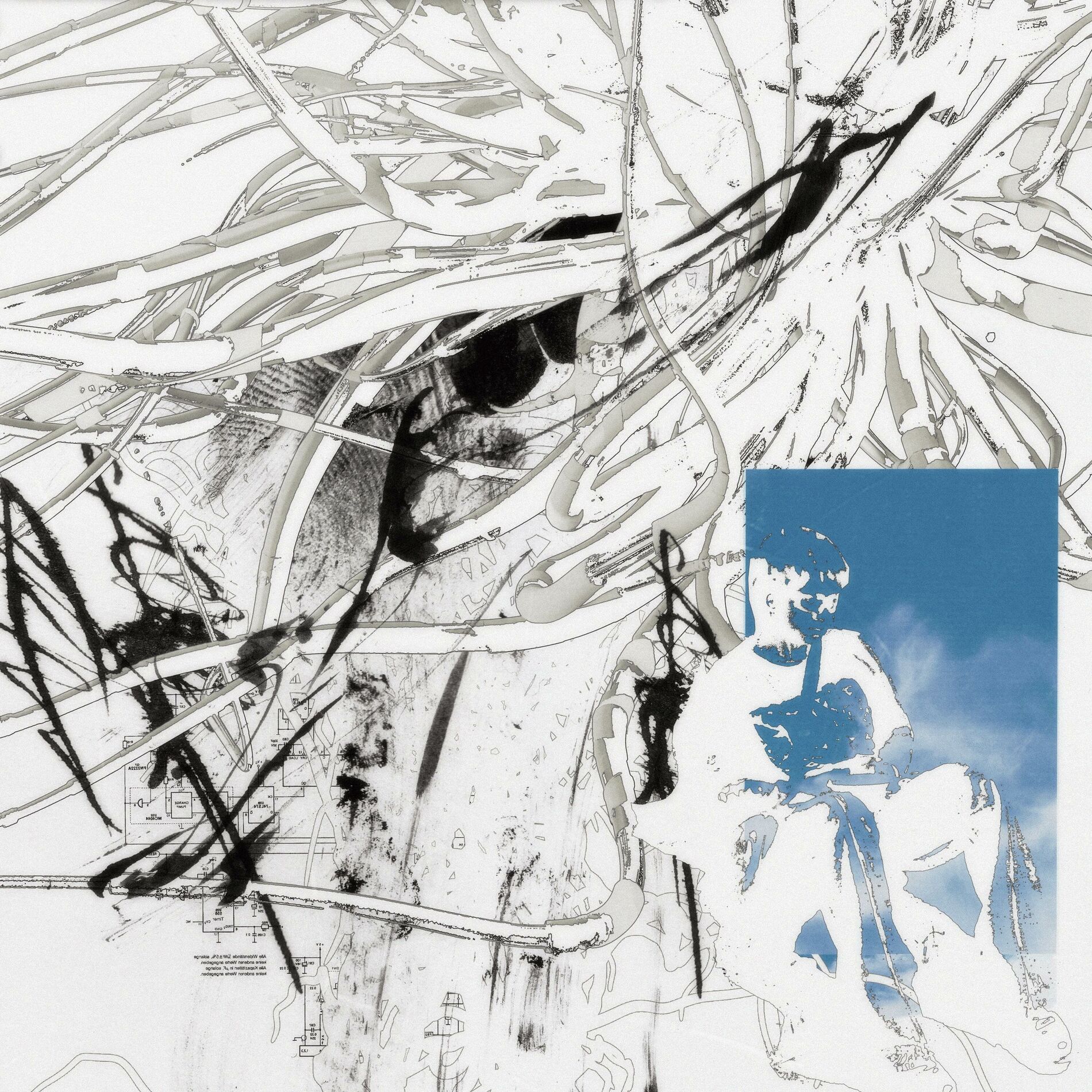 Album cover of l'été aura tout brûlé, sauf la solitude