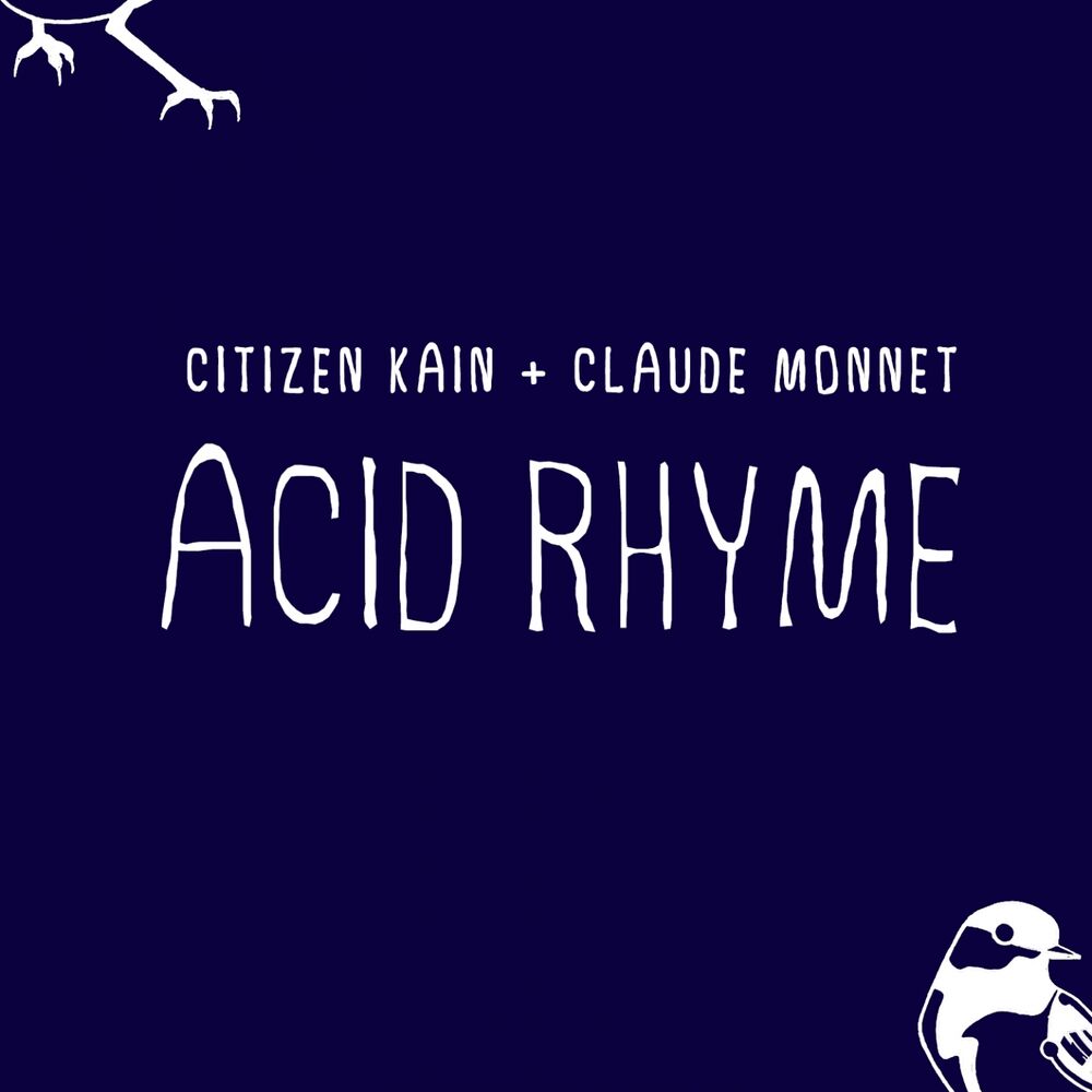 Picture of Acid Rhyme
