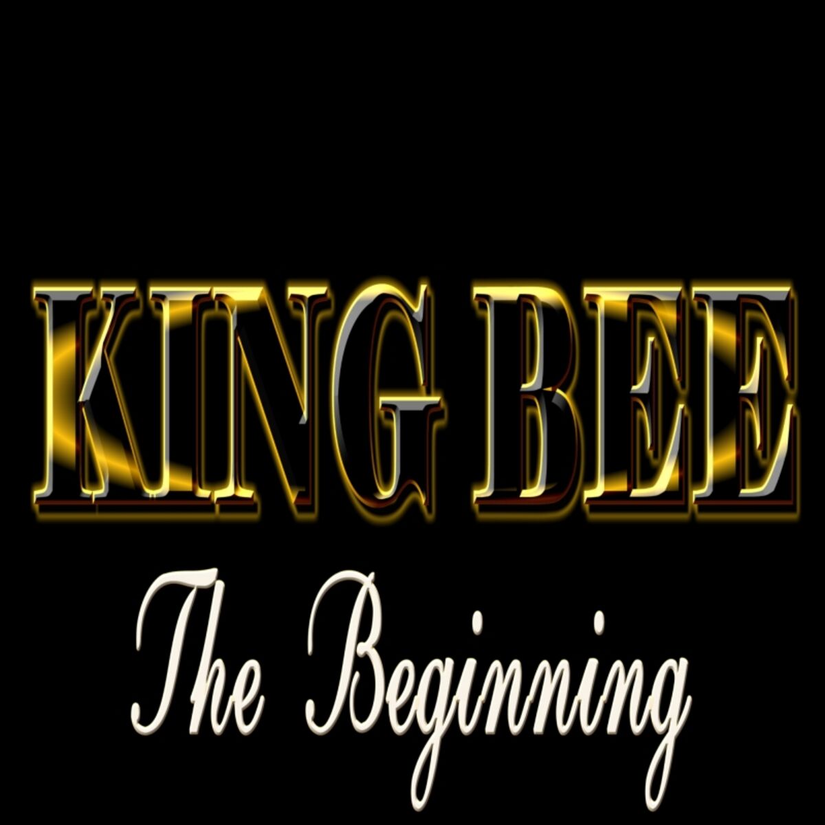 Album cover of The Beginning