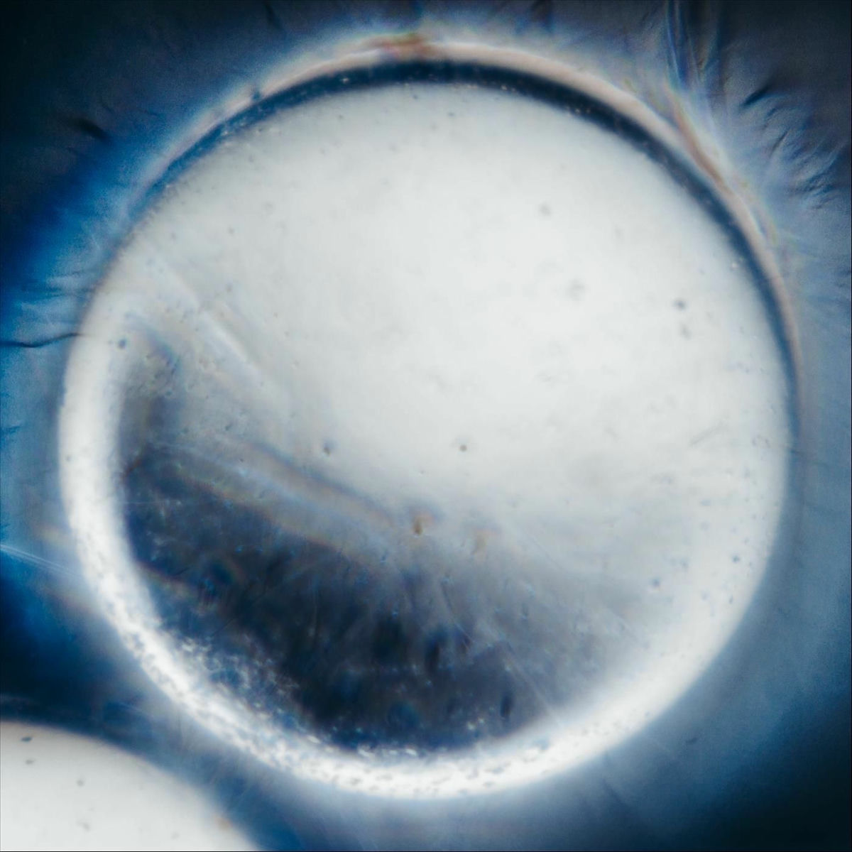 Album cover of Soul Chemistry