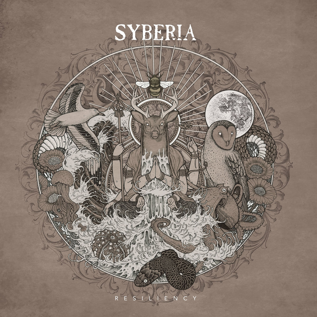 Album cover of Resiliency