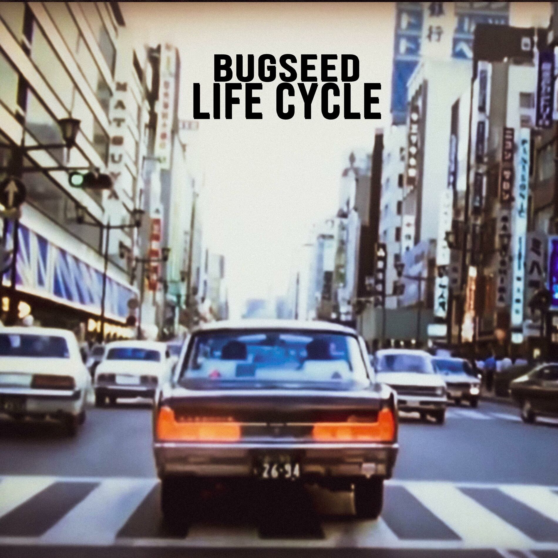 Album cover of Life Cycle