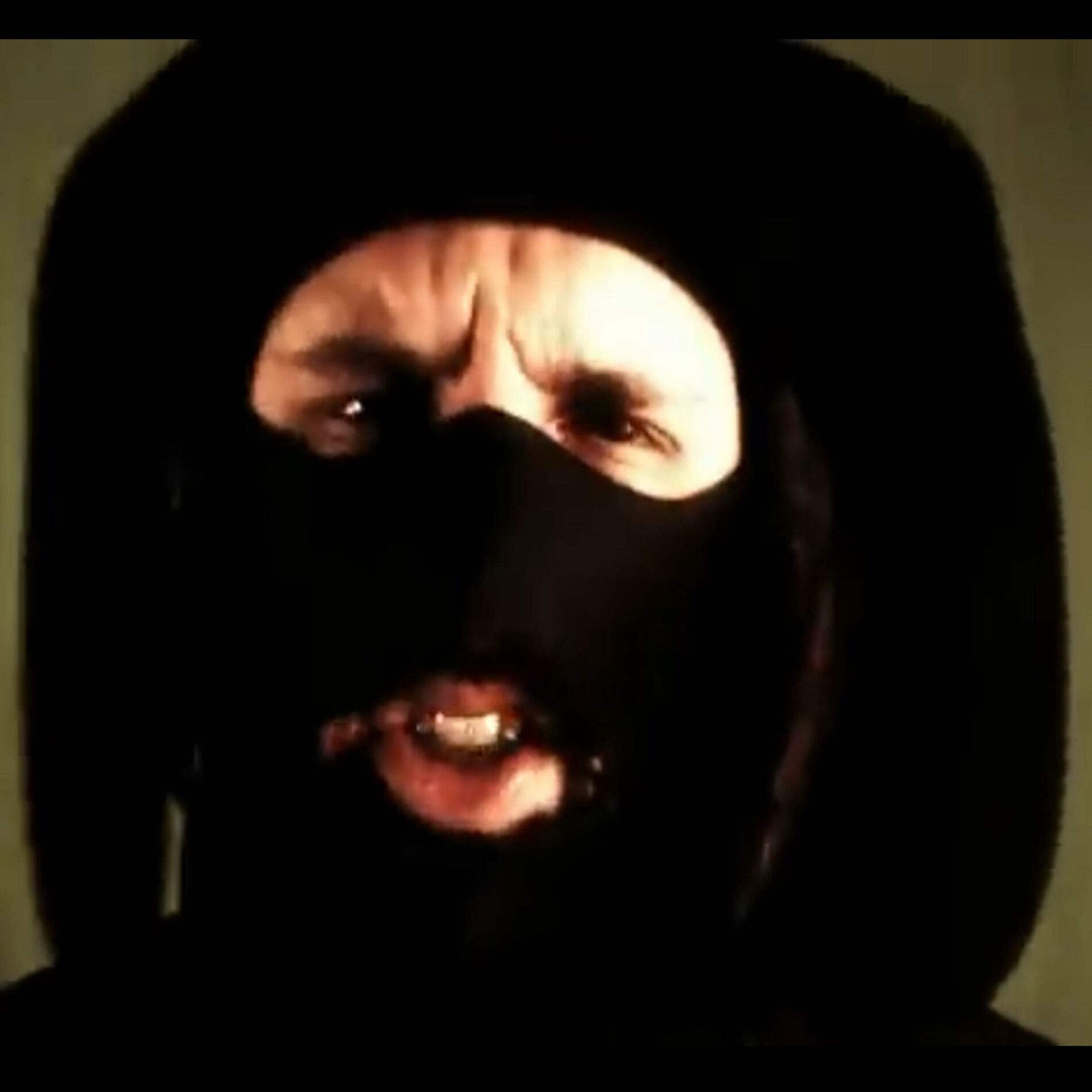 Album cover of Fear The Bunny