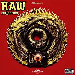 Cover of RAW Collection