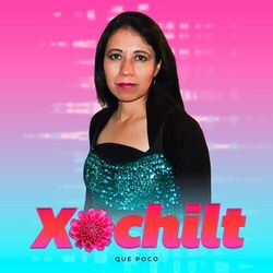 Cover of Que Poco