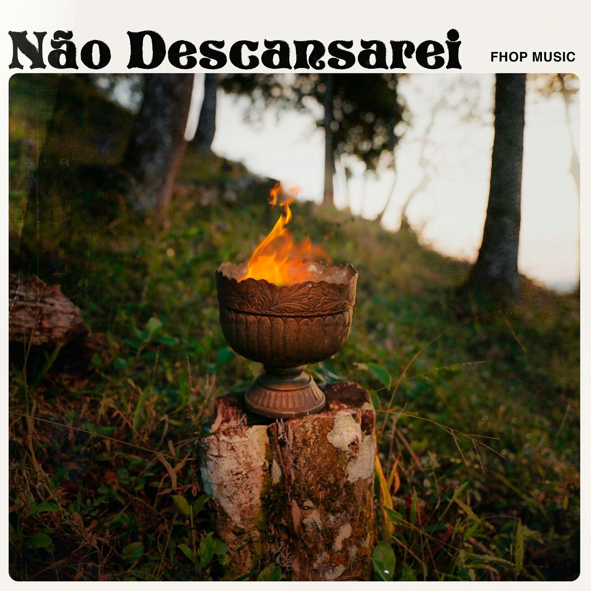 Album cover of Não Descansarei