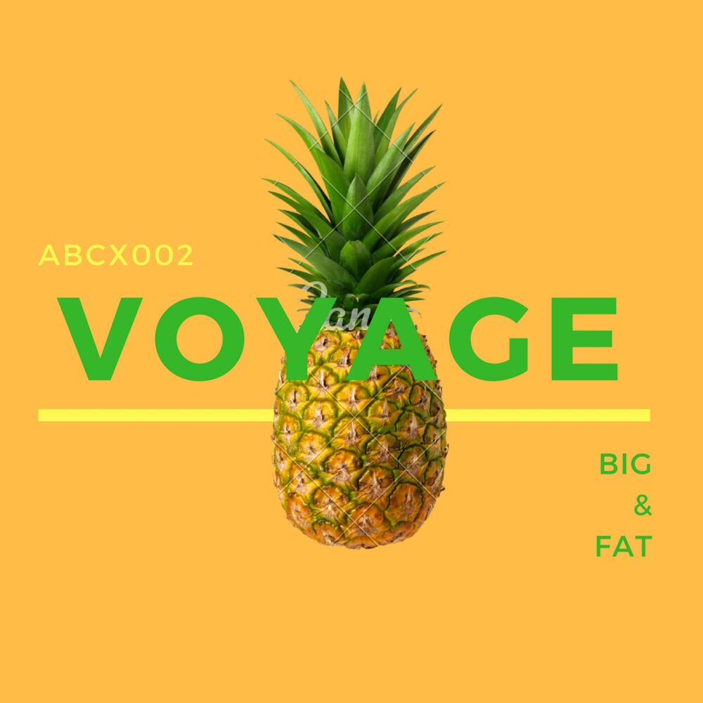 Picture of Voyage