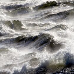 Cover of Waves