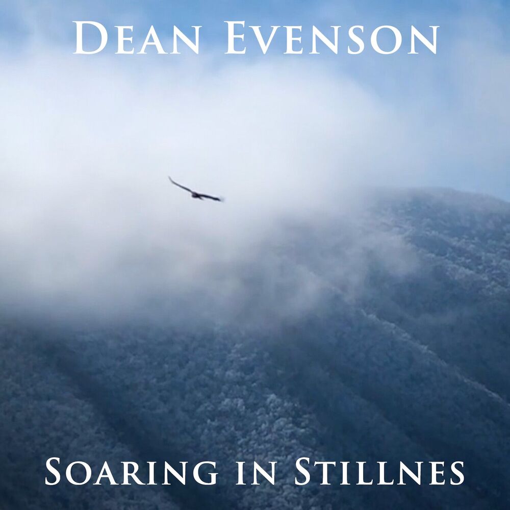 Picture of Soaring in Stillness