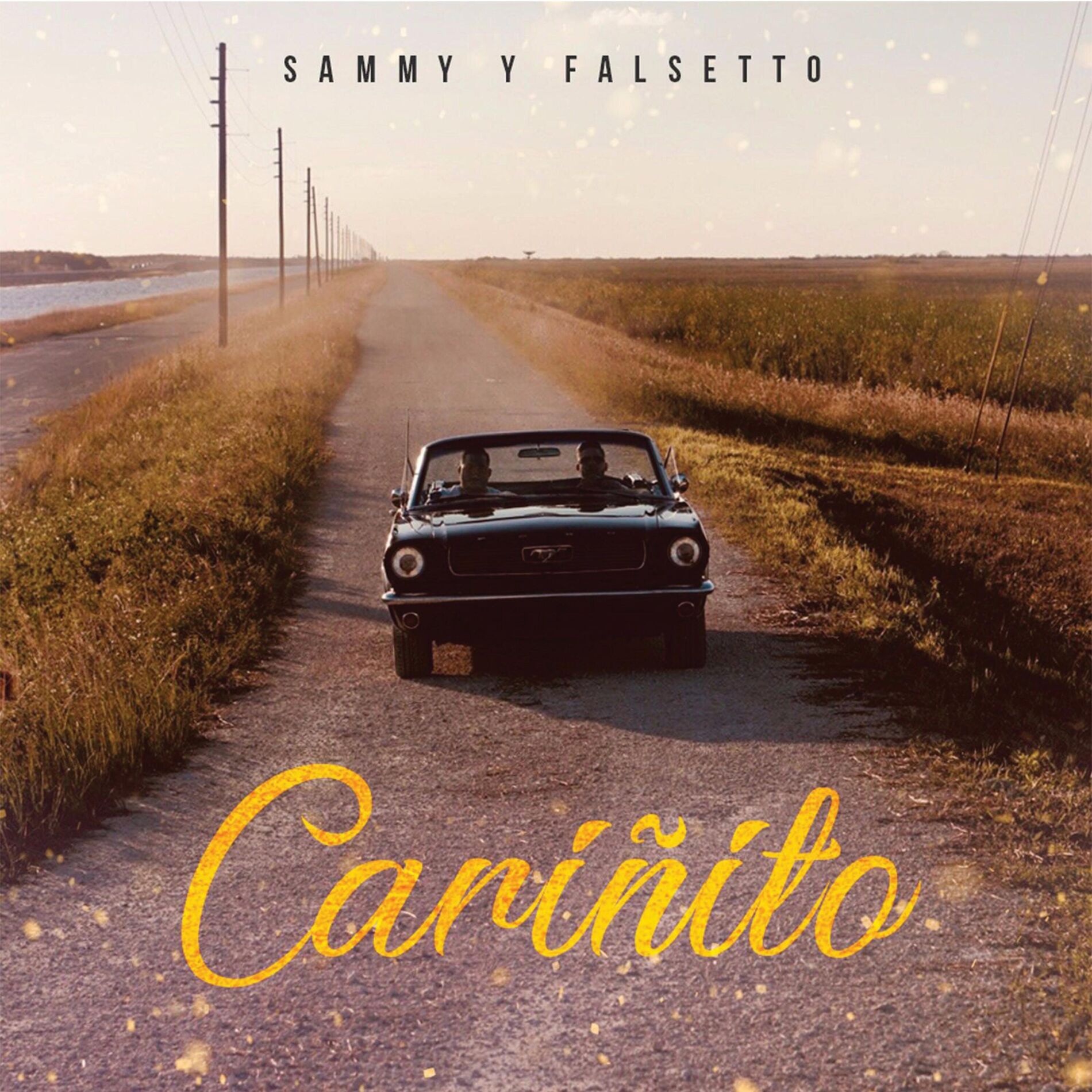 Album cover of Cariñito
