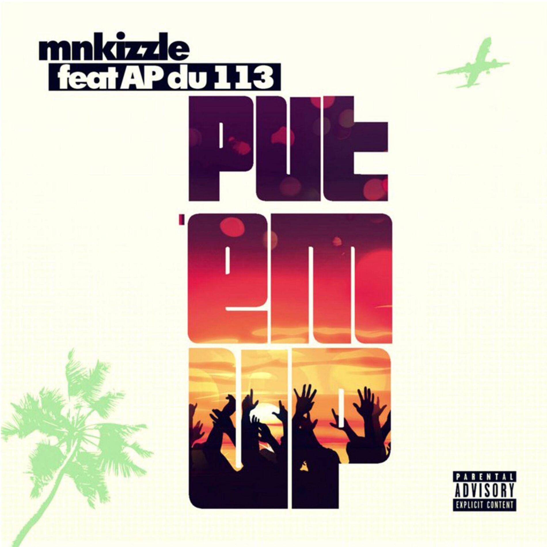 Album cover of Put em up (feat. AP du 113)