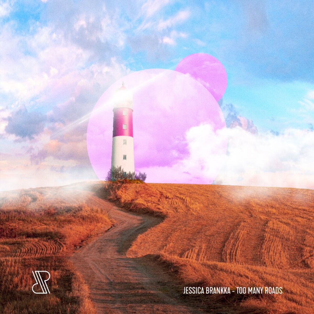 Album cover of Too Many Roads