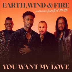 Cover of You Want My Love