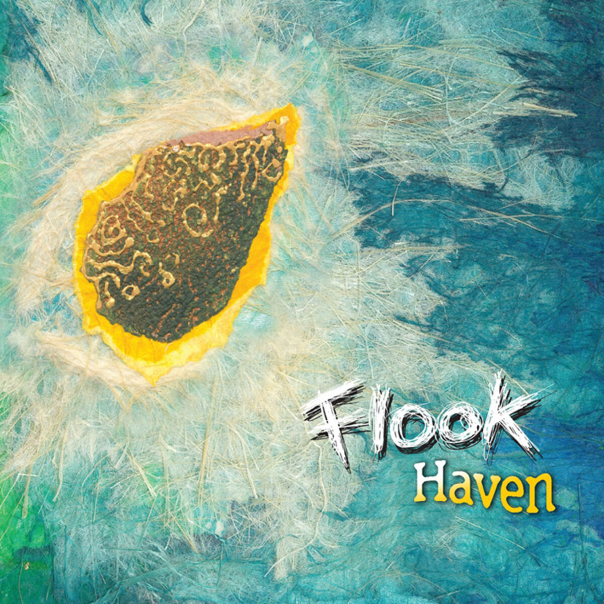 Album cover of Haven
