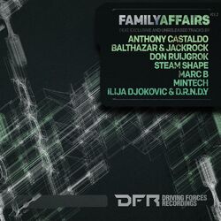 Cover of Family Affairs, Vol. 2