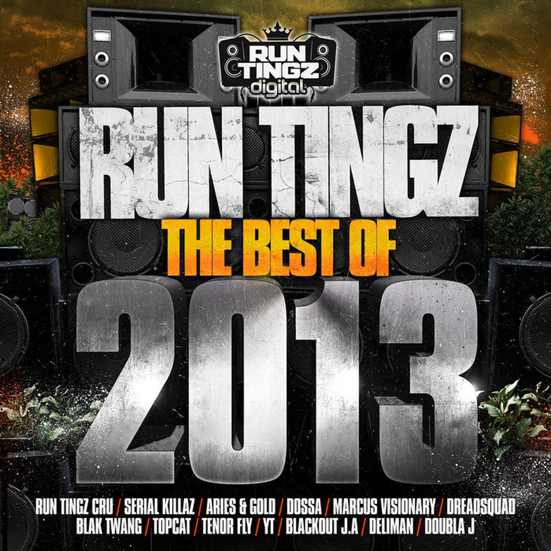 Album cover of Run Tingz Presents, The Best of 2013