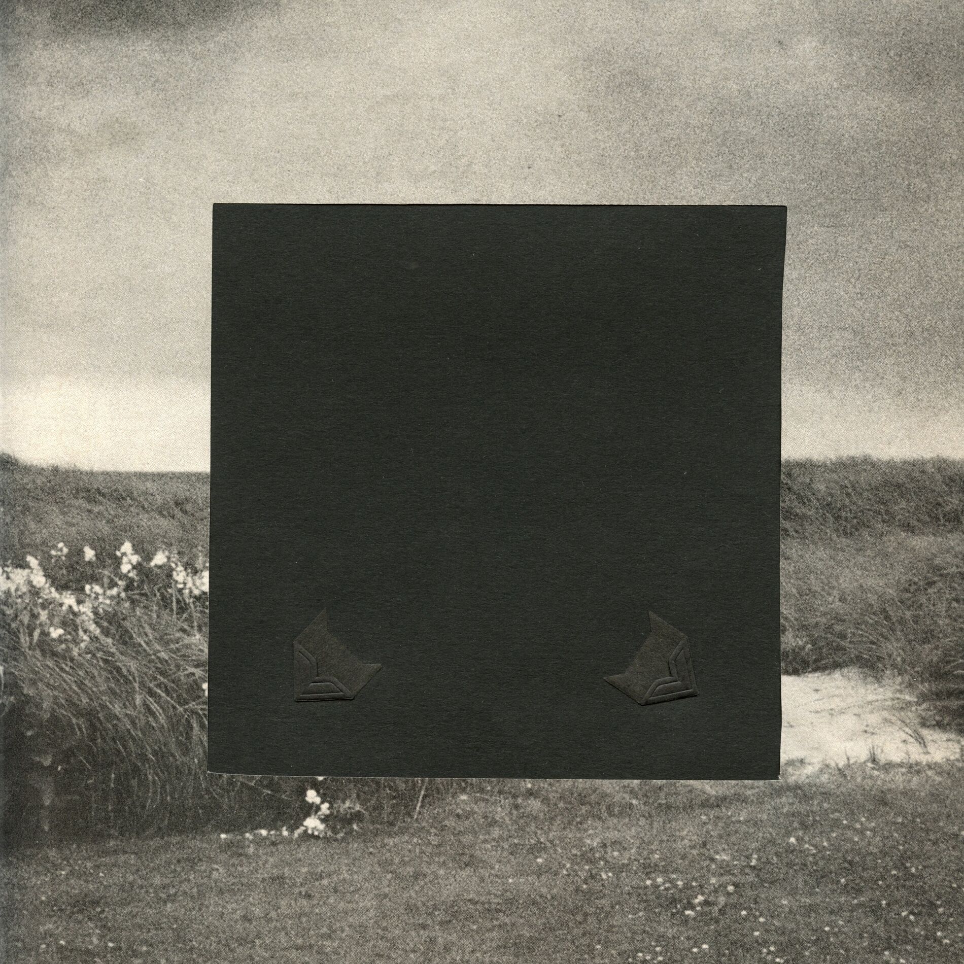 Album cover of Lunefuld