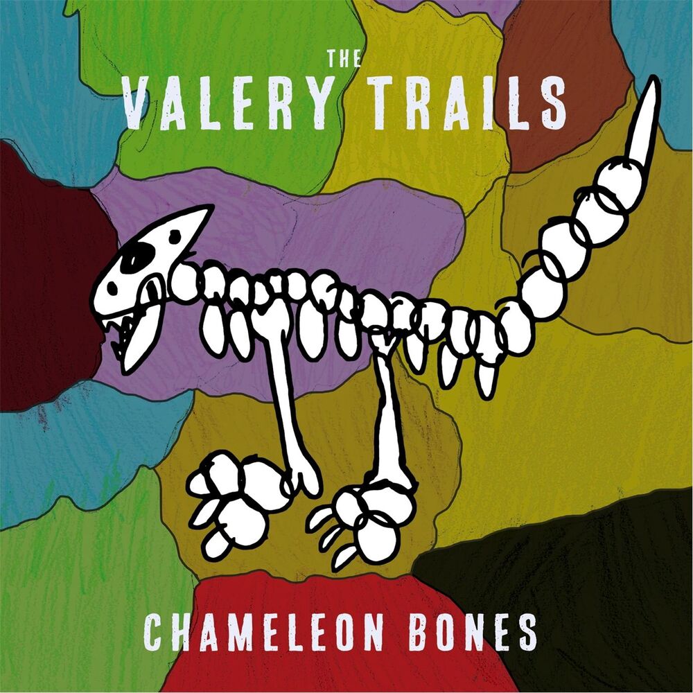 Picture of Chameleon Bones
