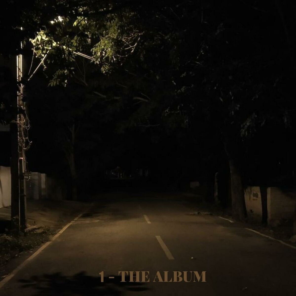 Album cover of 1 - The Album