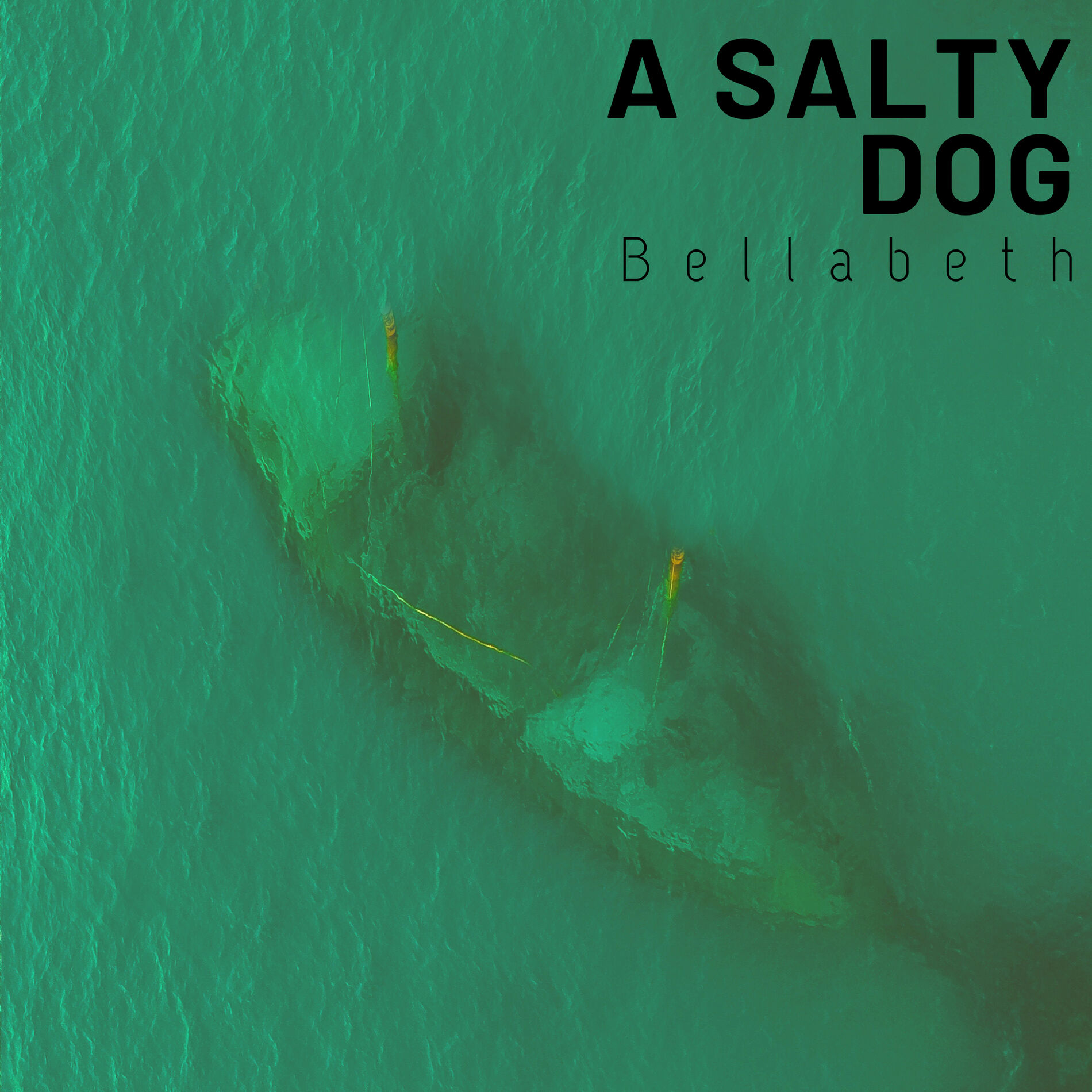 Album cover of A Salty Dog