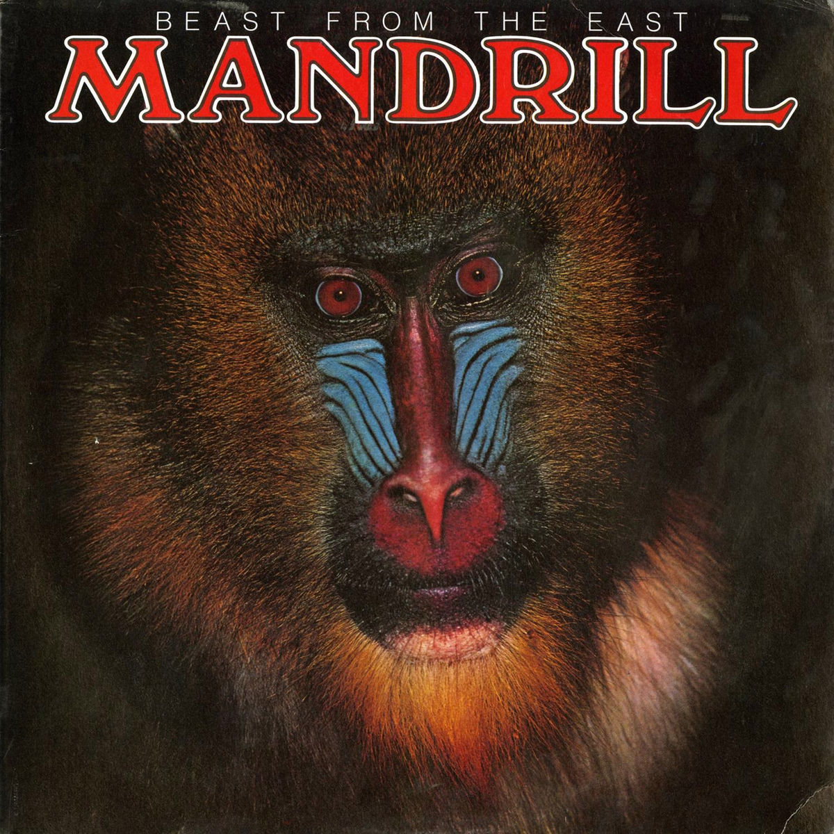 Album cover of Livin' It Up
