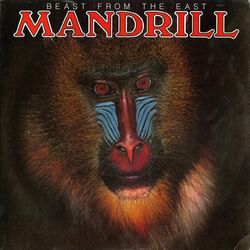 Cover of Livin' It Up