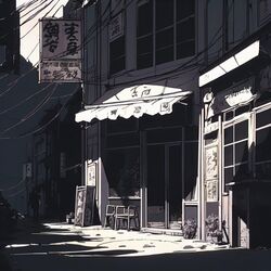 Through The Shadows