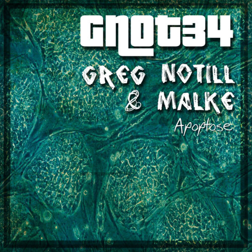 Picture of Apoptose