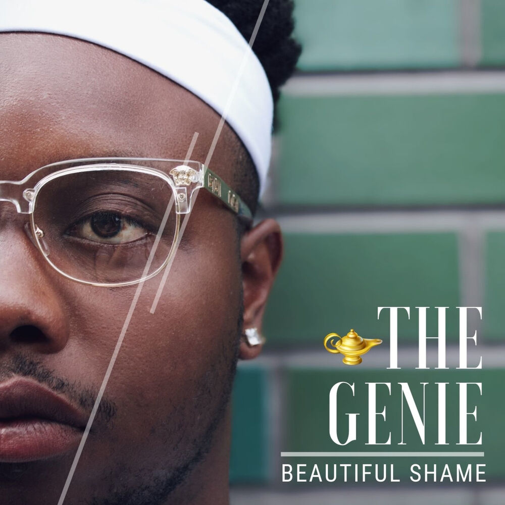 Picture of Beautiful Shame