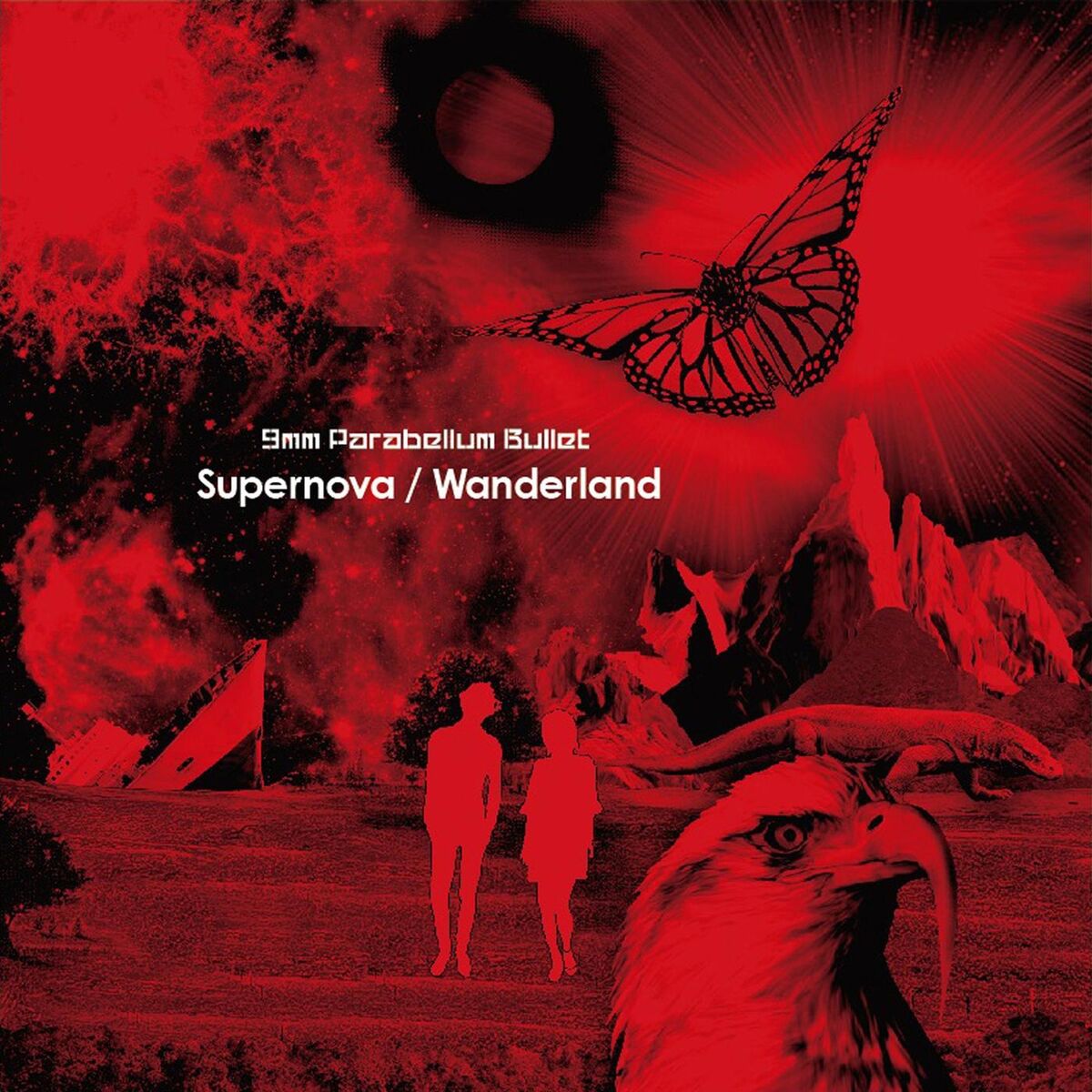 Album cover of Supernova