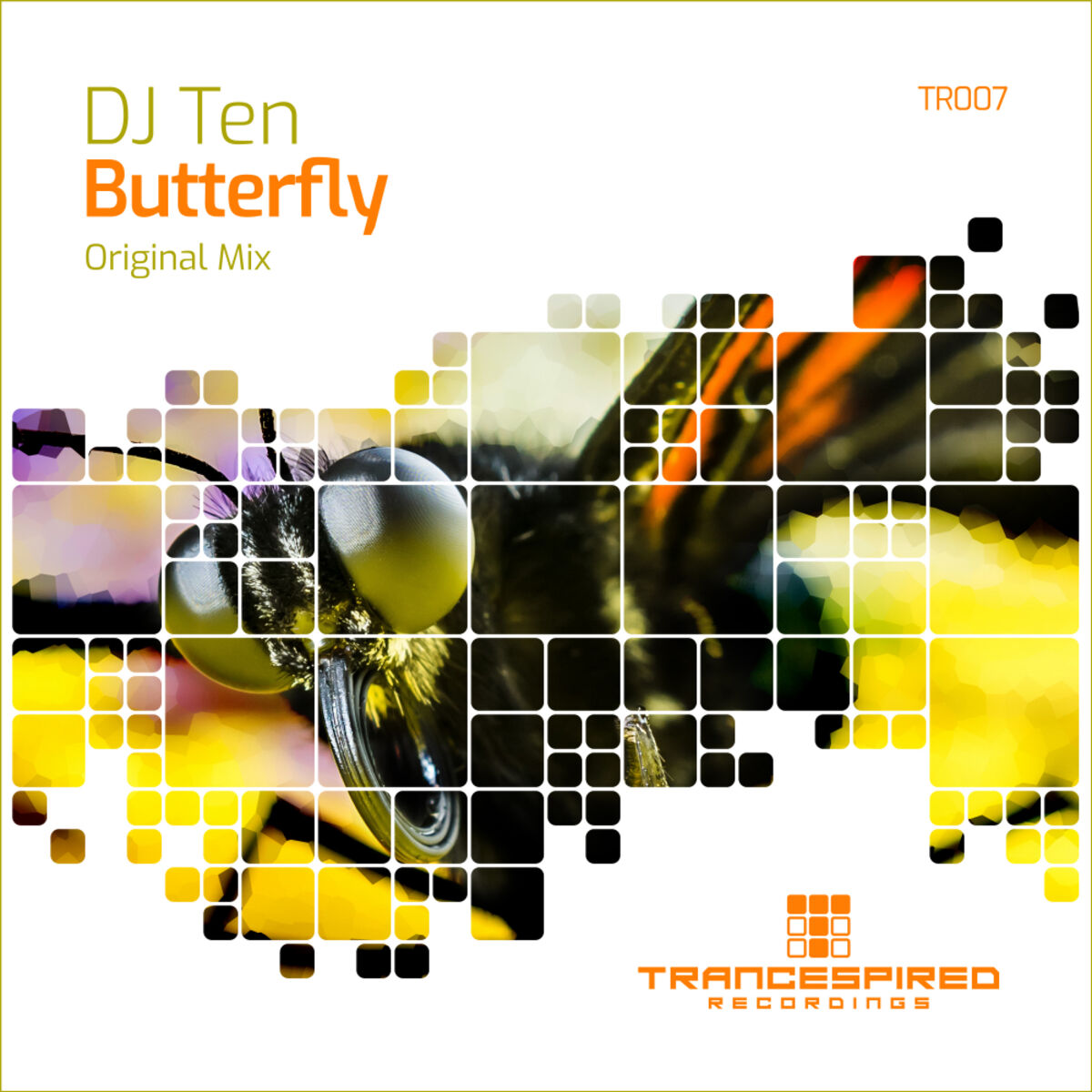 Album cover of Butterfly