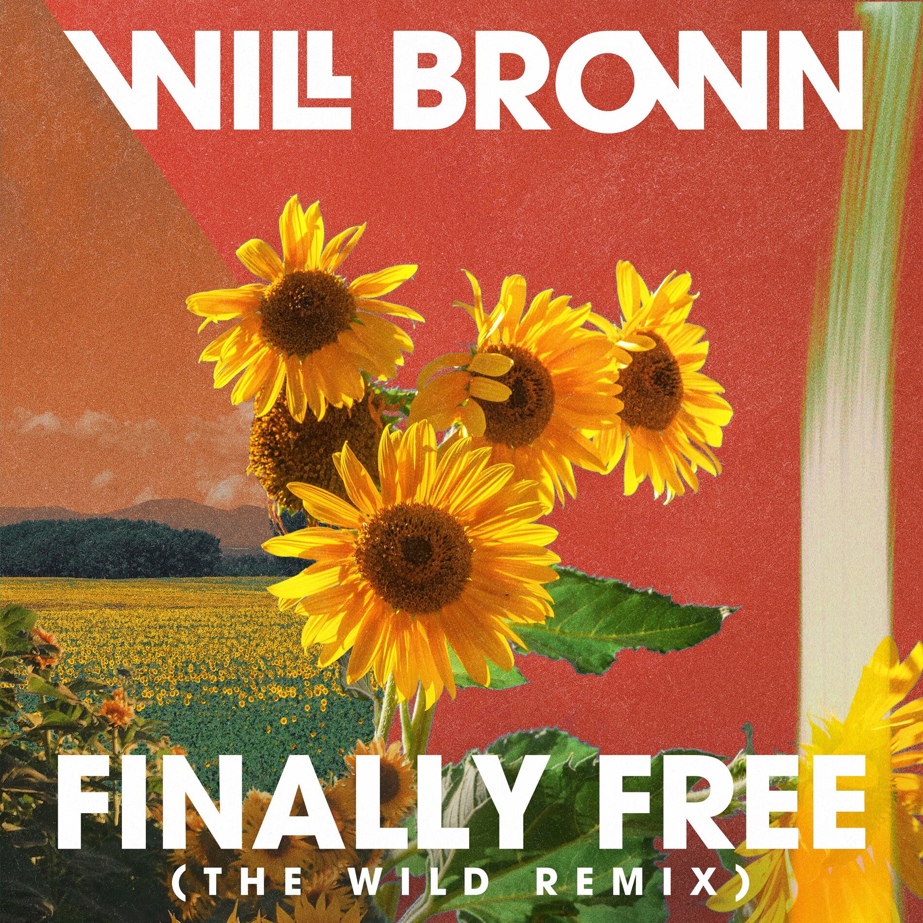 Album cover of Finally Free (The Wild Remix)