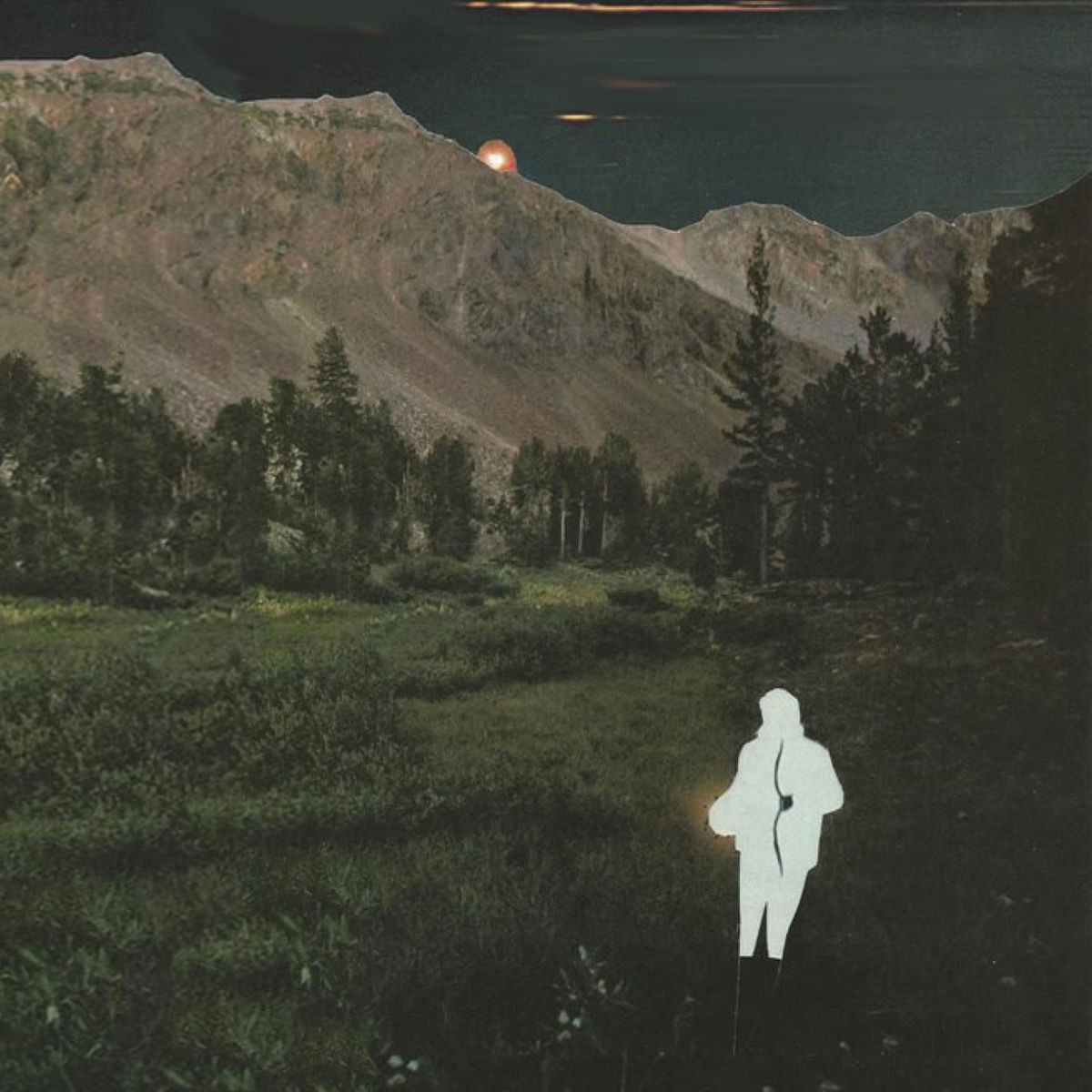Album cover of Always Assume