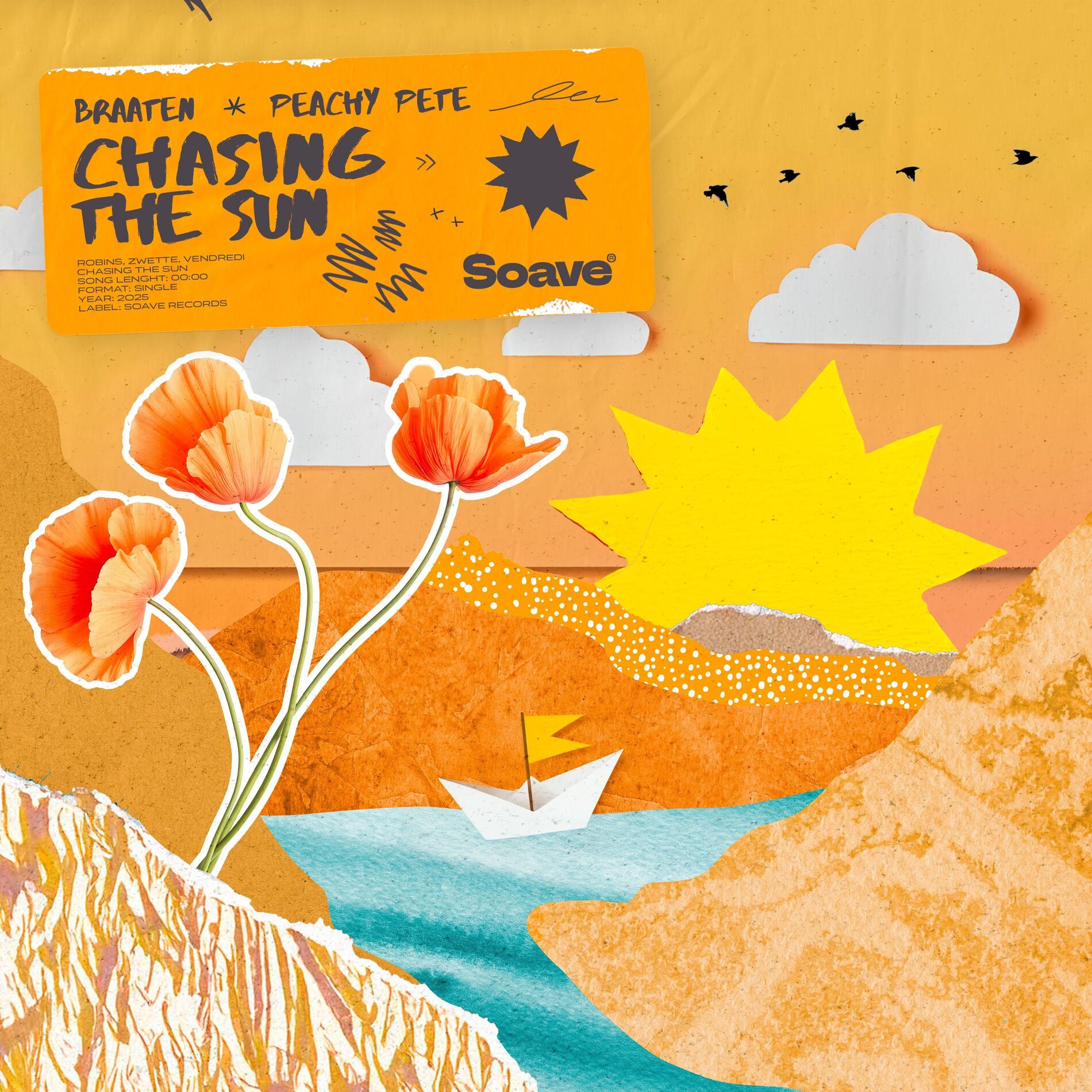 Album cover of Chasing The Sun