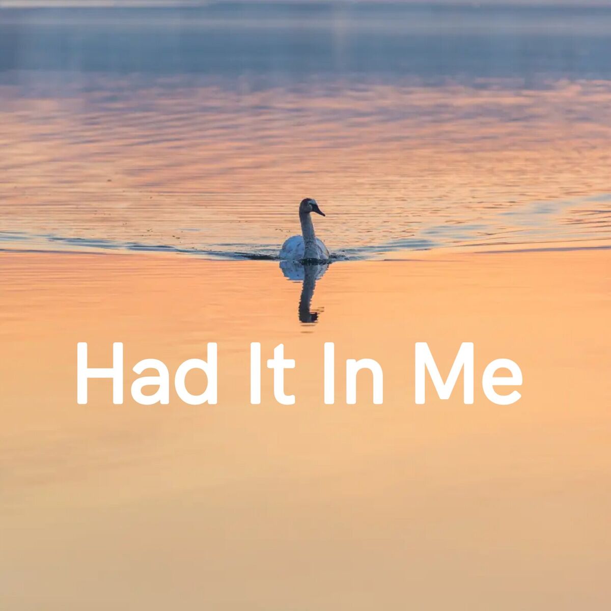 Album cover of Had It in Me
