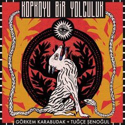 Cover of Kopkoyu Bir Yolculuk