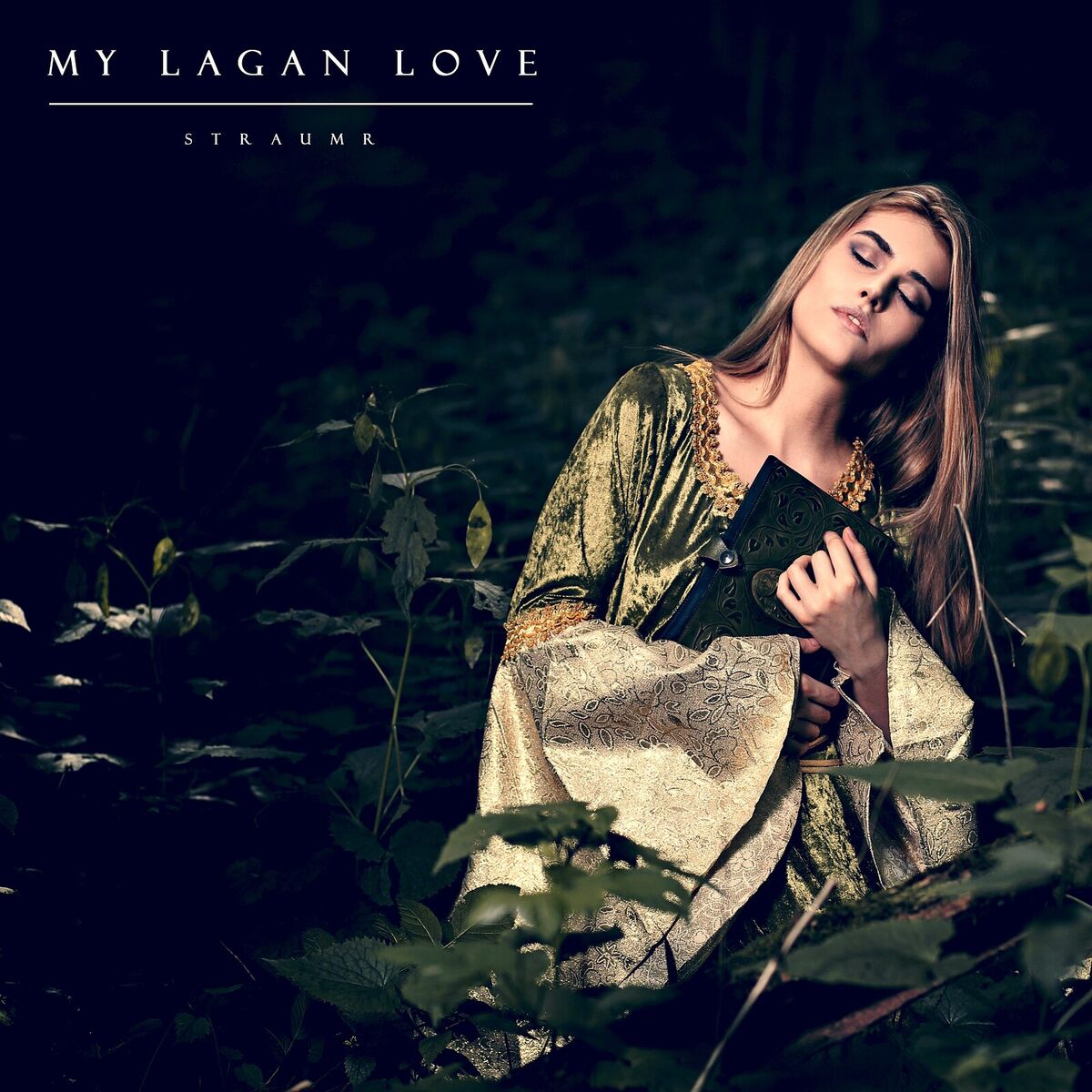 Album cover of My Lagan Love