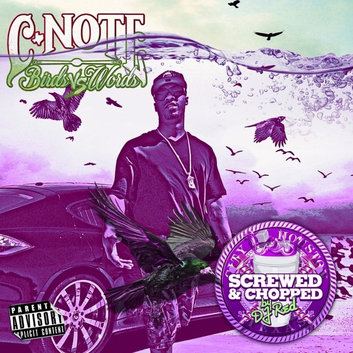 Album cover of Birds Vs. Words: Screwed & Chopped