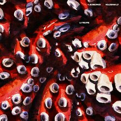 Cover of Joue la comme