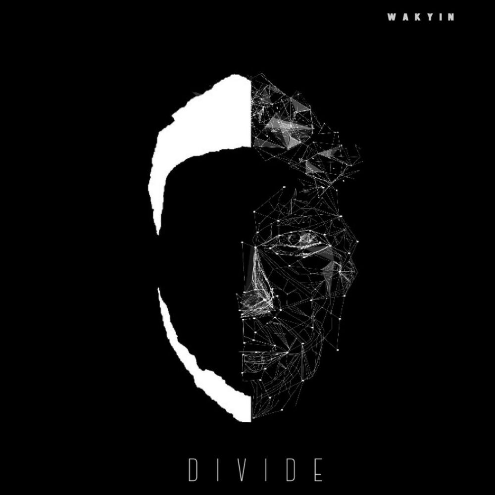 Picture of Divide