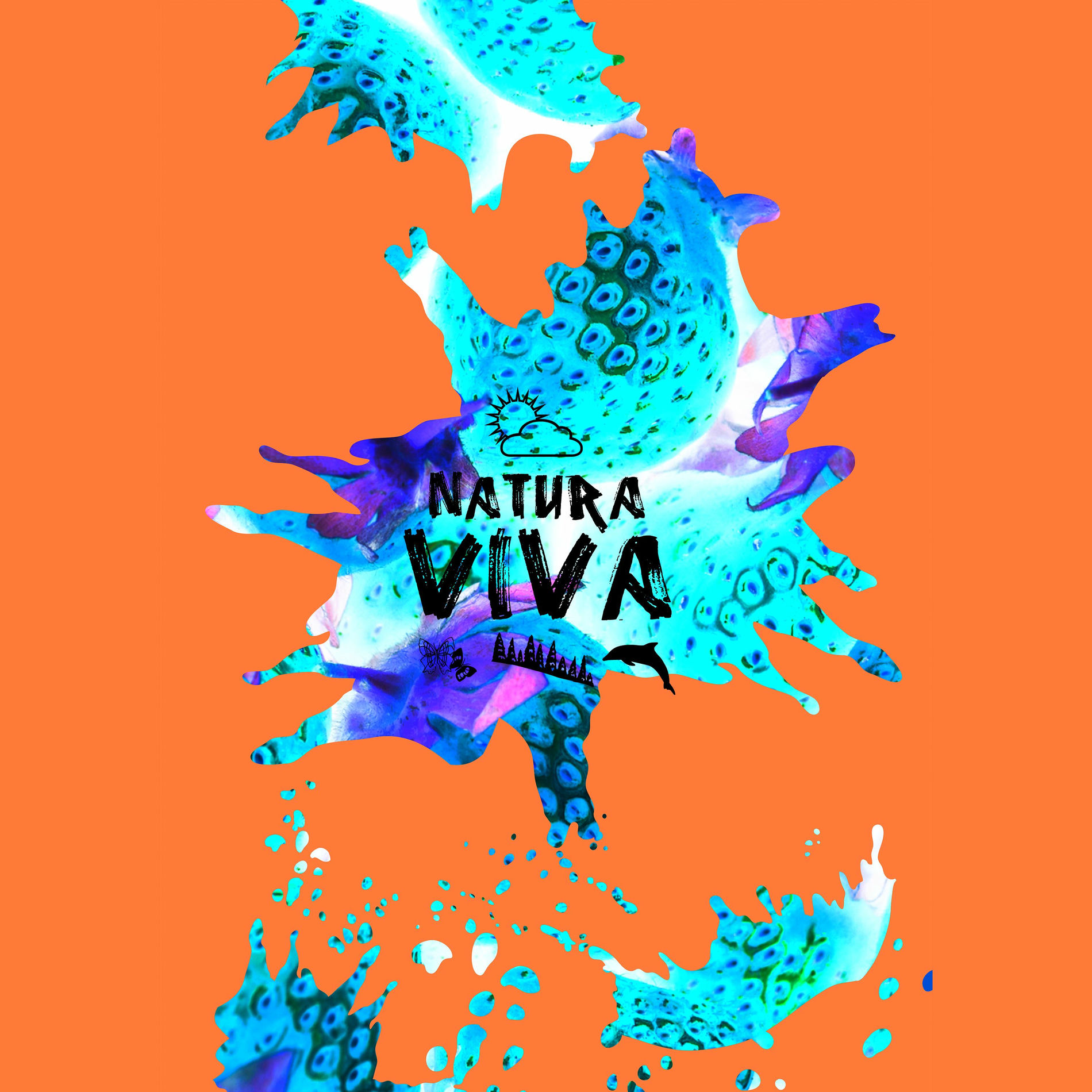 Album cover of La Macchina Del Tempo 2